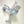 Load image into Gallery viewer, Lemon Squeezer